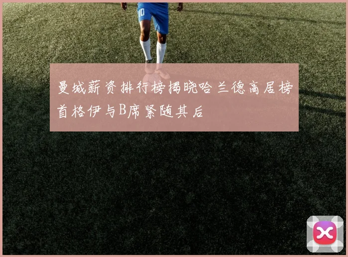 曼城薪资排行榜揭晓哈兰德高居榜首格伊与B席紧随其后