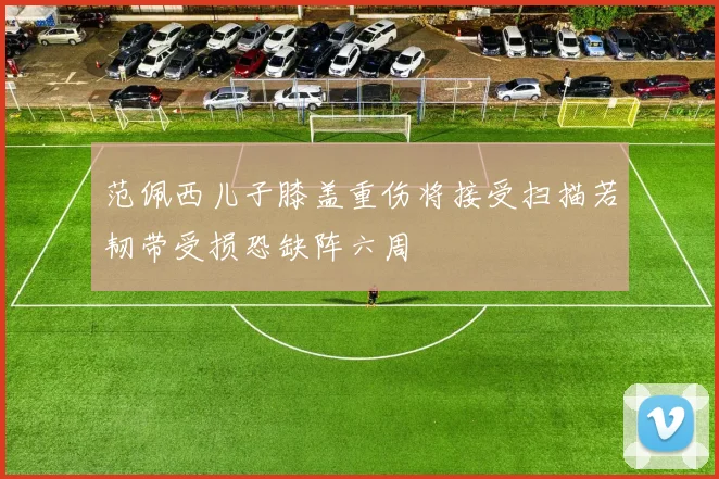 范佩西儿子膝盖重伤将接受扫描若韧带受损恐缺阵六周