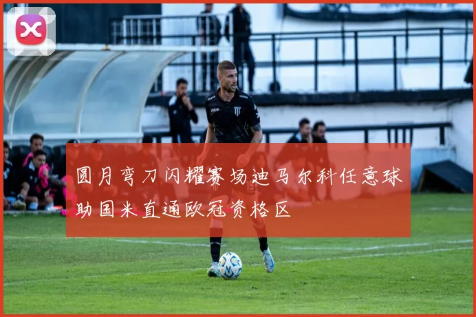 圆月弯刀闪耀赛场迪马尔科任意球助国米直通欧冠资格区